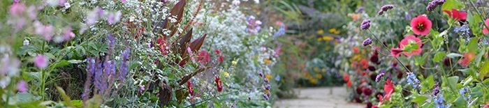 Gija Melnupe's cover banner