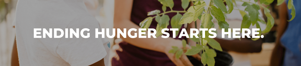 Gracie Pfaff's cover banner