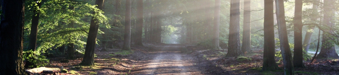 Haley Marshall's cover banner