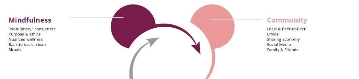 Hamutal (Tula) Schieber's cover banner