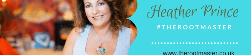 Heather Prince's cover banner