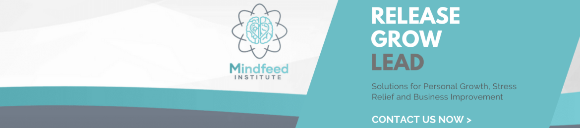 Heidi Krauss's cover banner