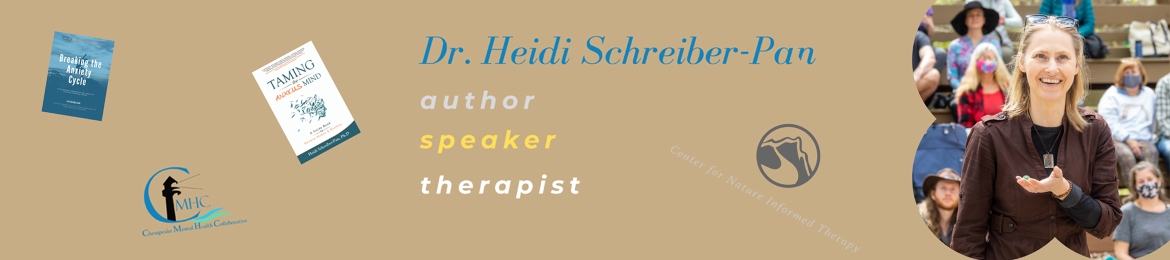 Heidi Schreiber-Pan's cover banner
