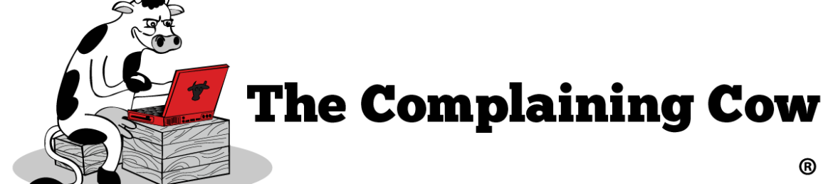 Helen Dewdney's cover banner