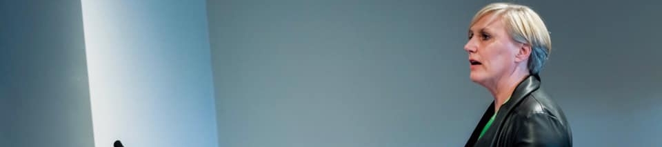 Helena Hill's cover banner