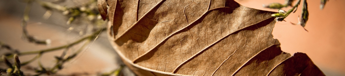 Henry Myslak's cover banner