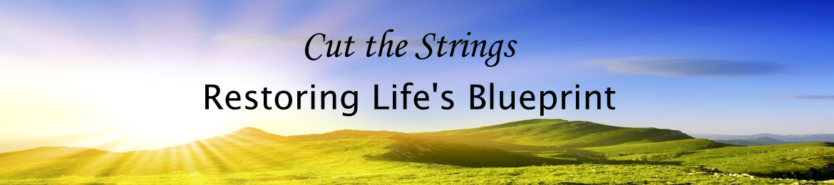 Hila Esters's cover banner