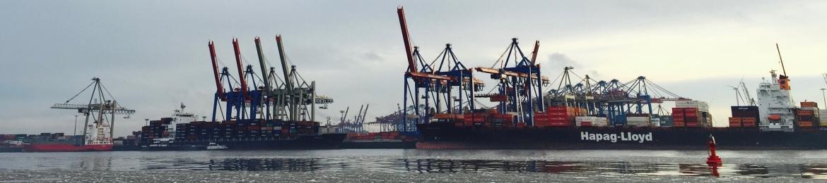 Holger Ambroselli's cover banner