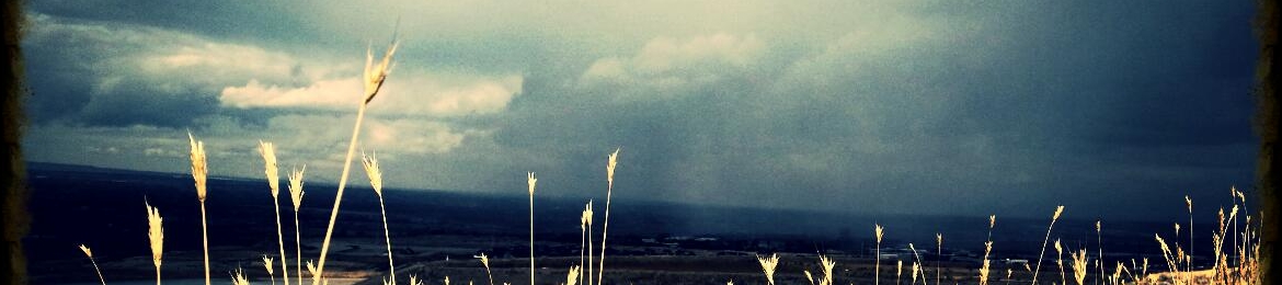 Hope Bevilhymer's cover banner