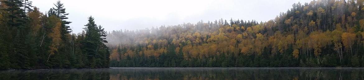 Ian C. Williams's cover banner