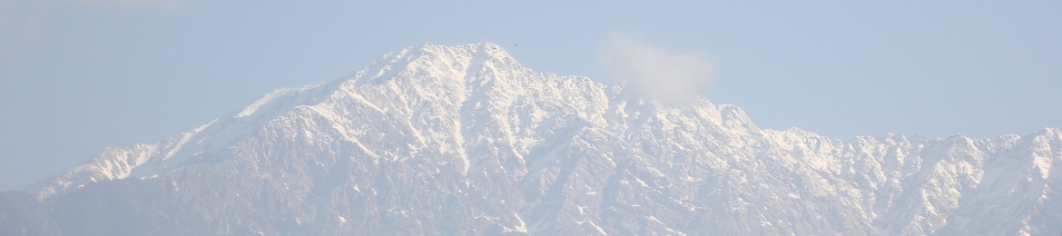 Jacqueline Wilson's cover banner