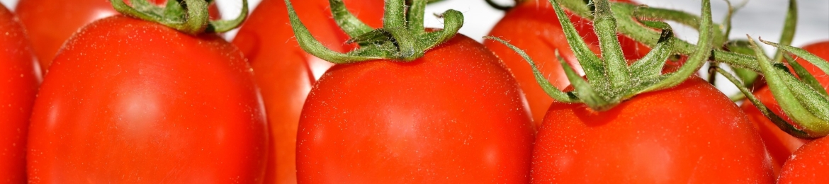 James Lucas's cover banner