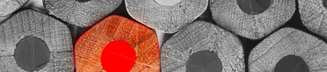 Jan Zlotnick's cover banner