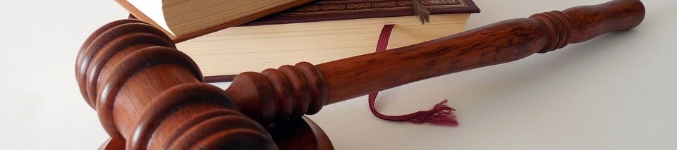 Jane Santiago Elgin's cover banner