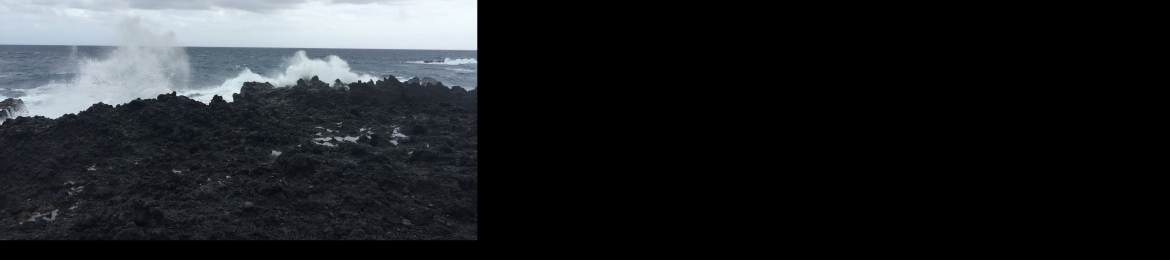 Jarret Patton's cover banner