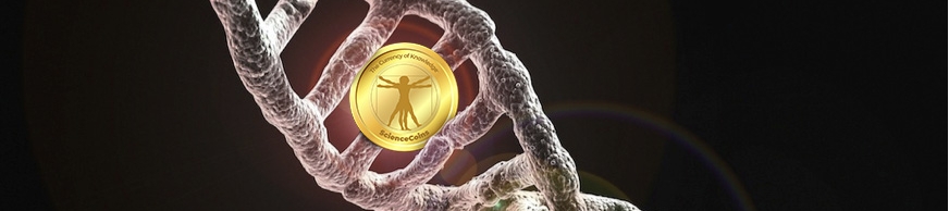 Jason E Barkeloo's cover banner