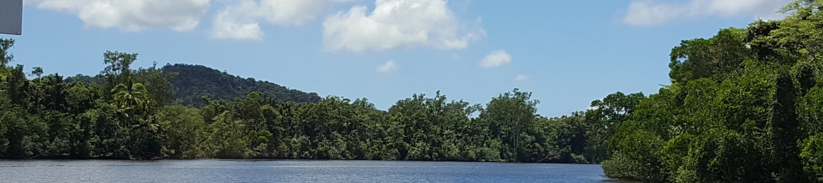 Jay Sunderland's cover banner