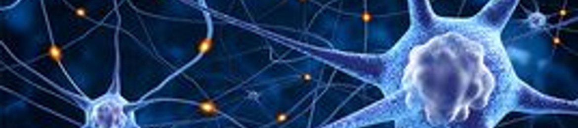 Jeffrey Piccirillo's cover banner