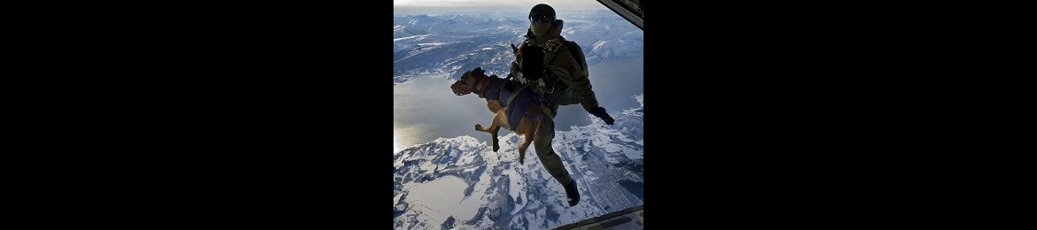 Jeffrey Still's cover banner