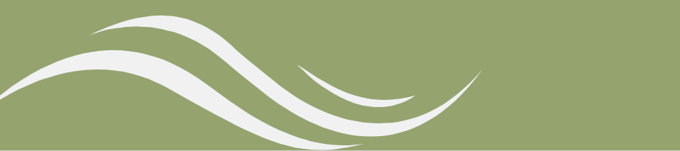 Jeffrey Ton's cover banner