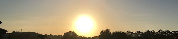 Jennifer Picone's cover banner