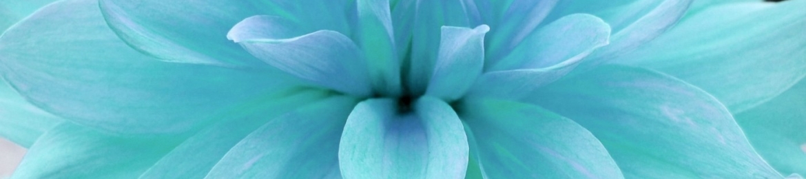 Jennifer Pinder's cover banner