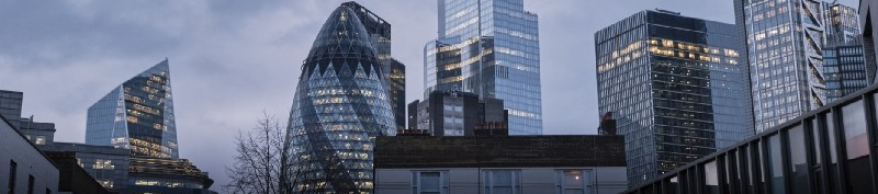 Jenny wolfes San Jose's cover banner