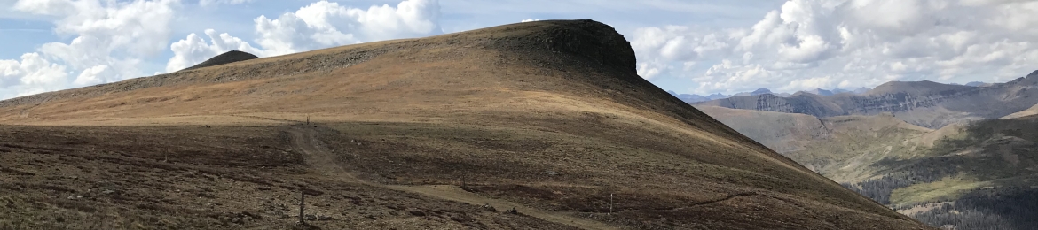 Jesse Cody's cover banner