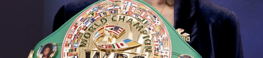 Jill Diamond Chastain's cover banner