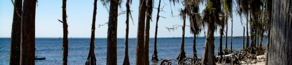 Jim Fatic's cover banner