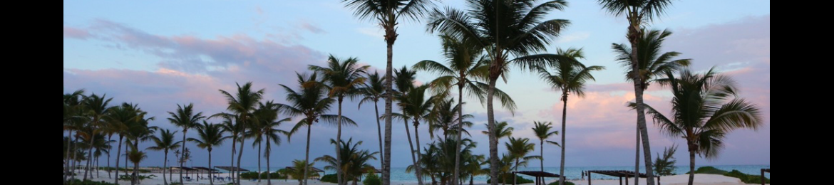 Jim Posner's cover banner