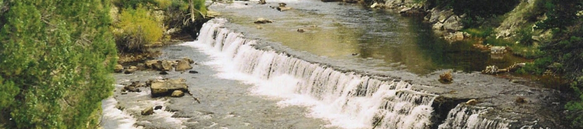 John Fredric Tesone's cover banner