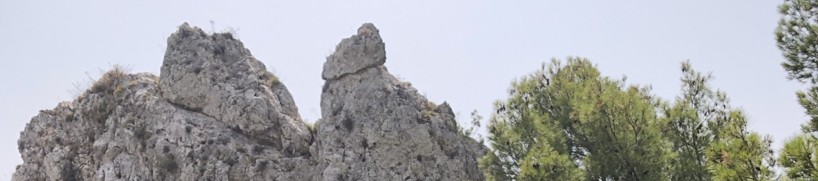 John Douglas Steuart's cover banner