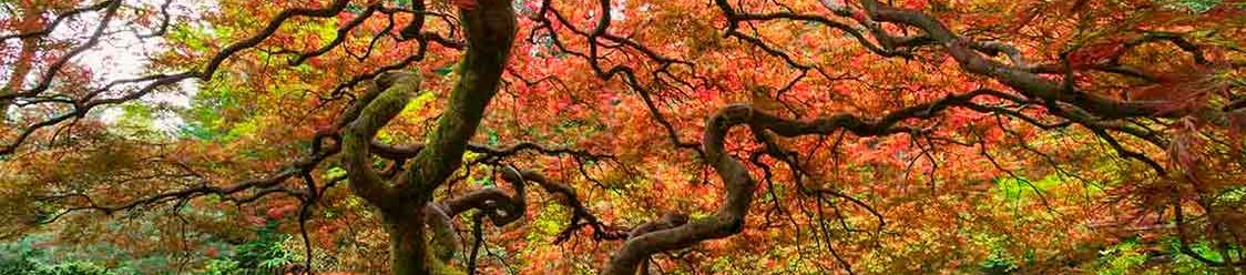 Jordan Sudberg's cover banner