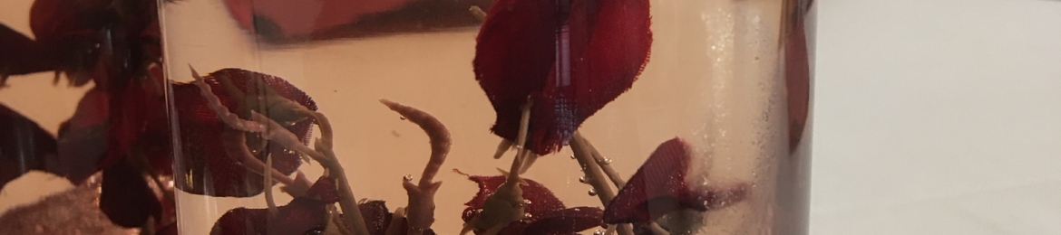 Joshua Okpara's cover banner