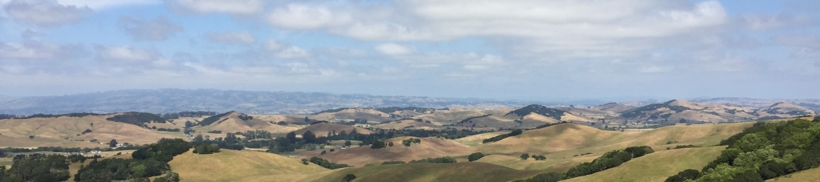 Joy Regan's cover banner