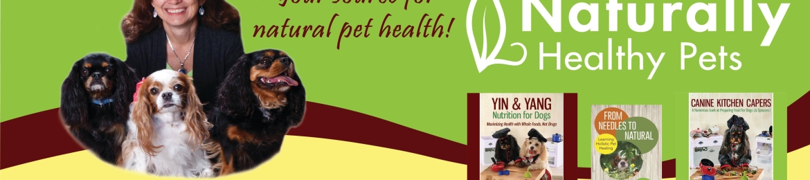 Judy Morgan's cover banner