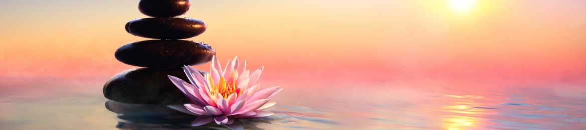 Julia Chi Taylor's cover banner