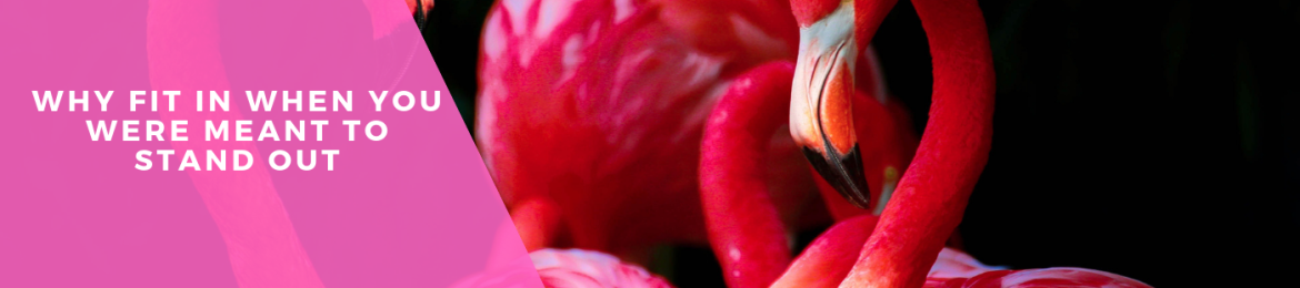 Juliana No's cover banner