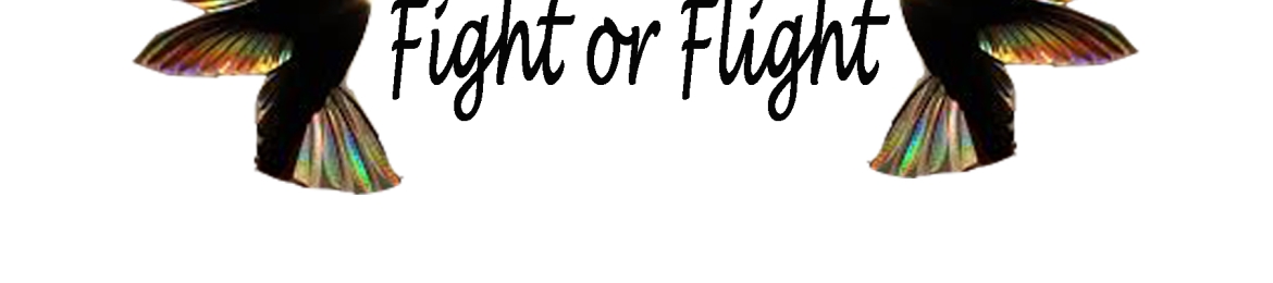 Julianna Porche's cover banner