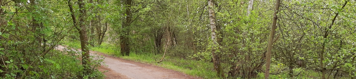 Juraci Paixão Kröhling's cover banner