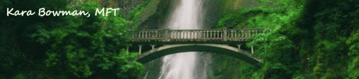 Kara Bowman's cover banner