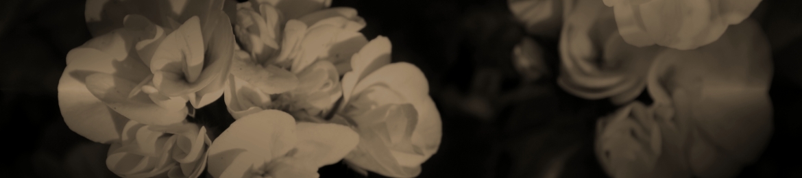 Kathy Reid's cover banner