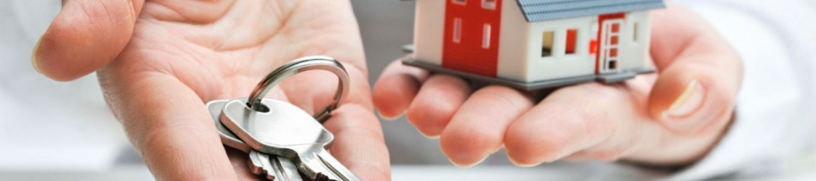 Keith  Ellis's cover banner