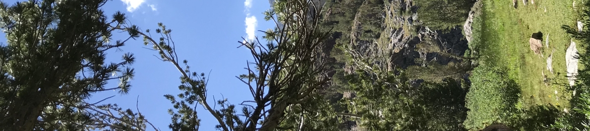 Keith Carlson's cover banner