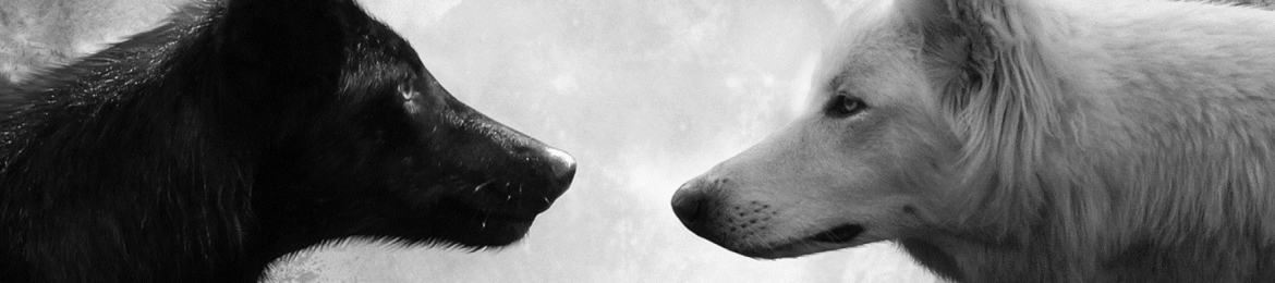 Kevin Waterhouse's cover banner