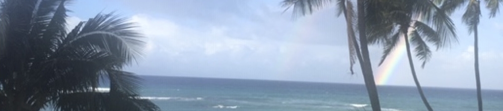 Kimberly Mascaro's cover banner