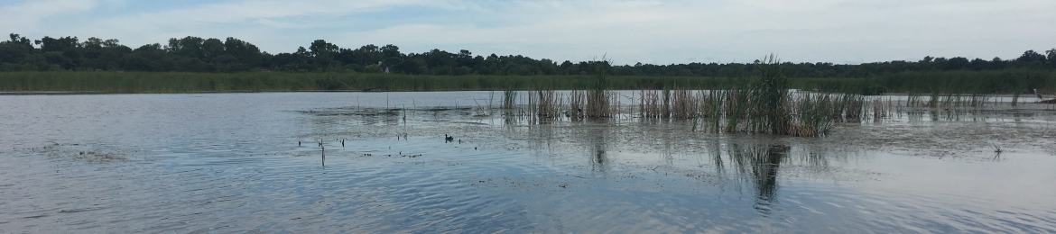 Kristen Webster's cover banner