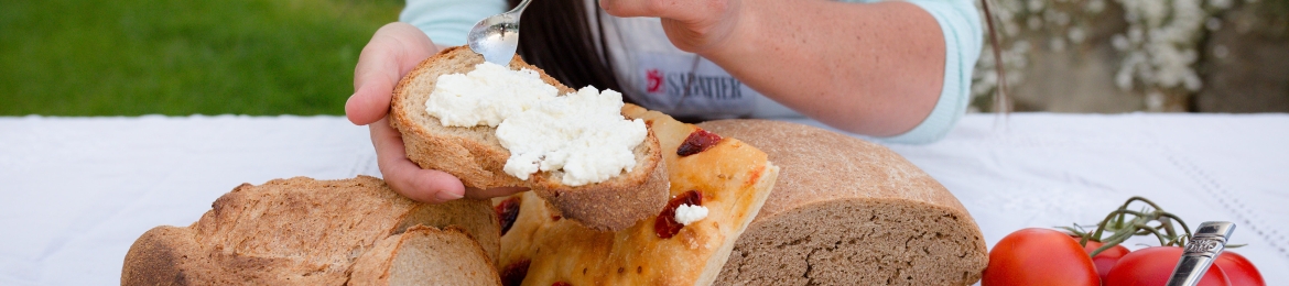 Kristin Petrucci's cover banner