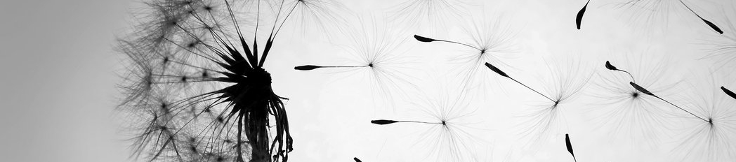 Kristina Cerise's cover banner